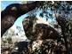 Oberon NSW 2787