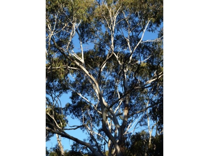 Oberon NSW 2787
