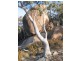 Oberon NSW 2787