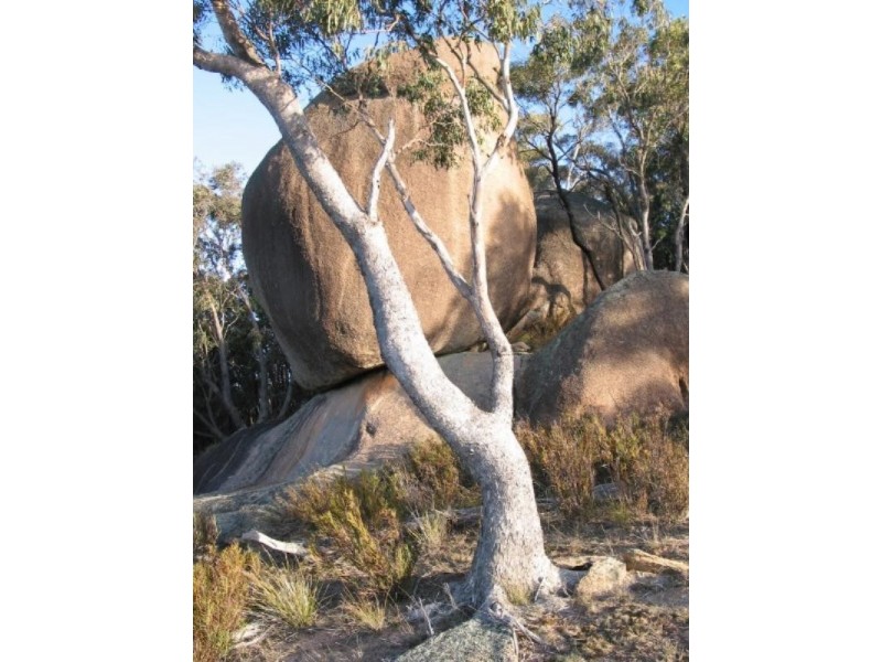 Oberon NSW 2787