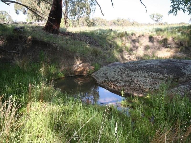 O’connell NSW 2795