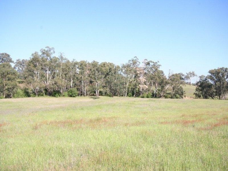 O’connell NSW 2795