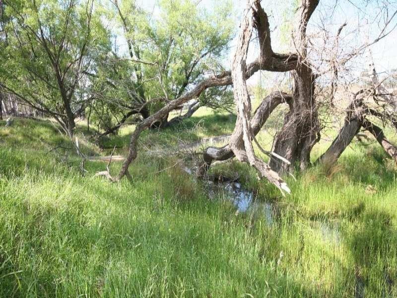 O’connell NSW 2795