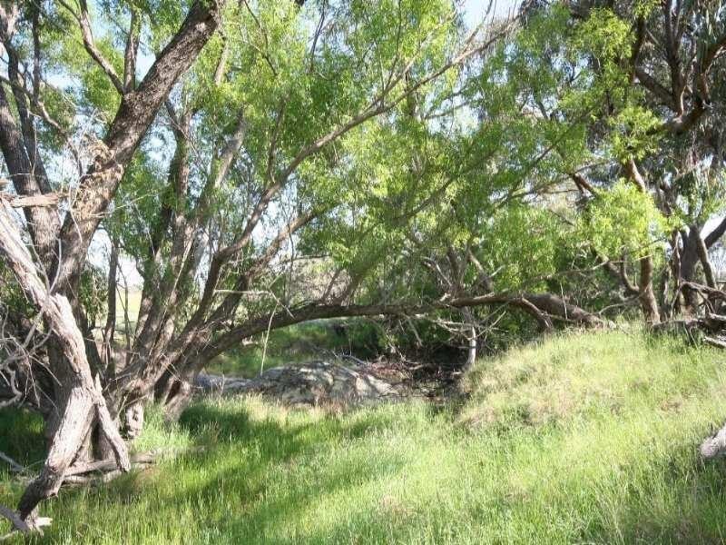 O’connell NSW 2795