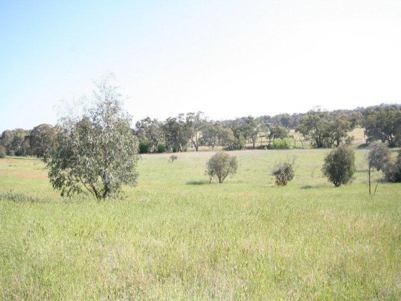 O’connell NSW 2795