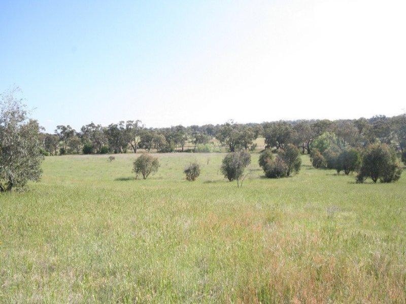 O’connell NSW 2795