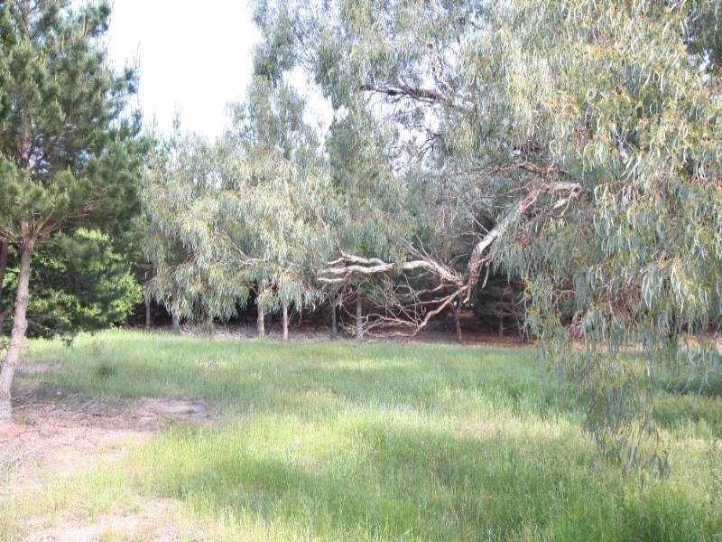 O’connell NSW 2795