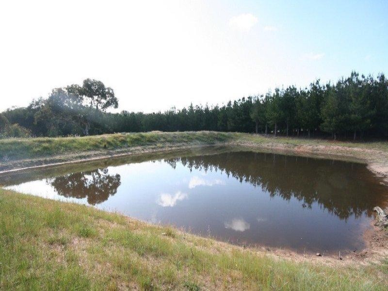 O’connell NSW 2795