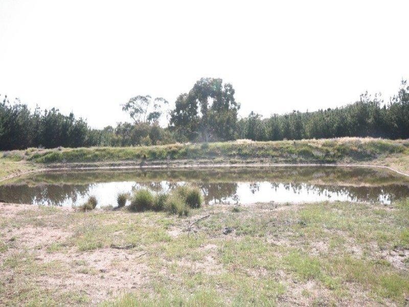 O’connell NSW 2795