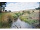 Neville NSW 2799