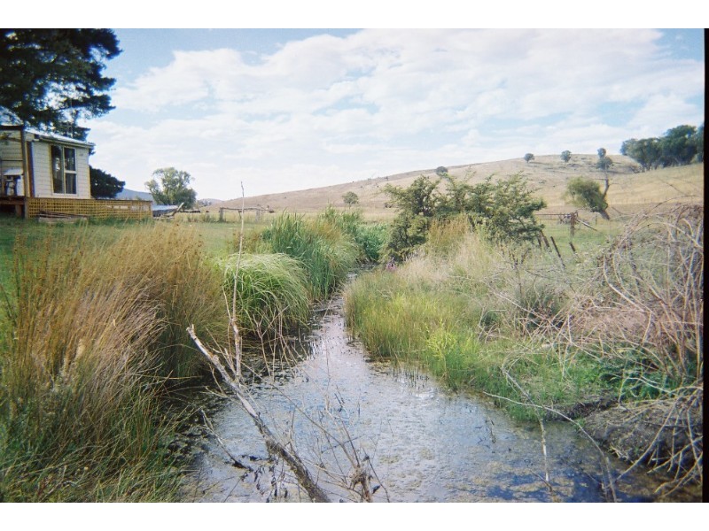 Neville NSW 2799