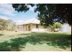 Neville NSW 2799