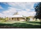 Neville NSW 2799