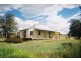 Neville NSW 2799
