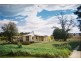 Neville NSW 2799