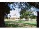Neville NSW 2799