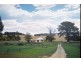 Neville NSW 2799