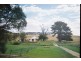 Neville NSW 2799