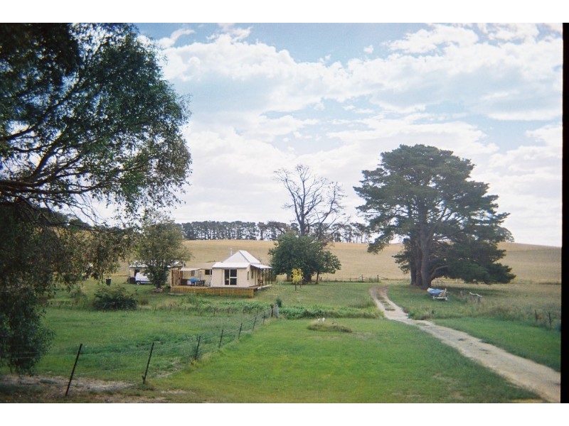 Neville NSW 2799