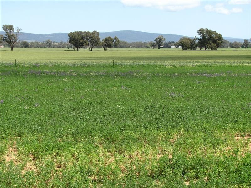 531 Chiverton Road, Cowra NSW 2794