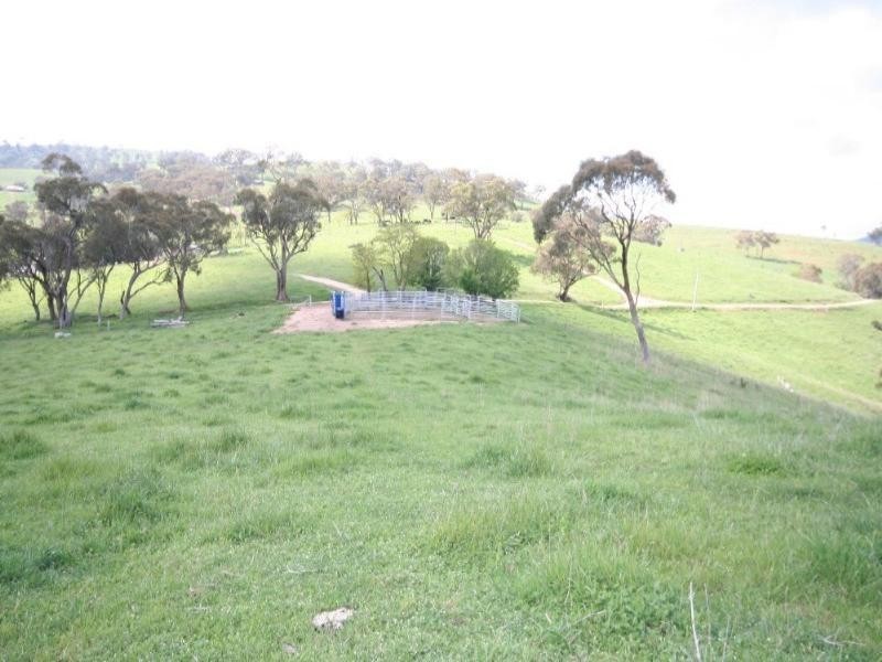 Sodwalls NSW 2790
