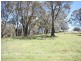 Gingkin NSW 2787