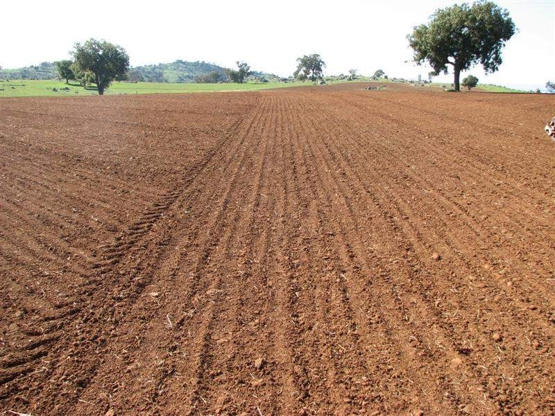 5111 Olympic Highway, Wattamondara NSW 2794