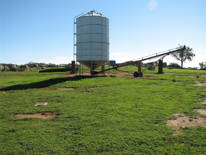 5111 Olympic Highway, Wattamondara NSW 2794