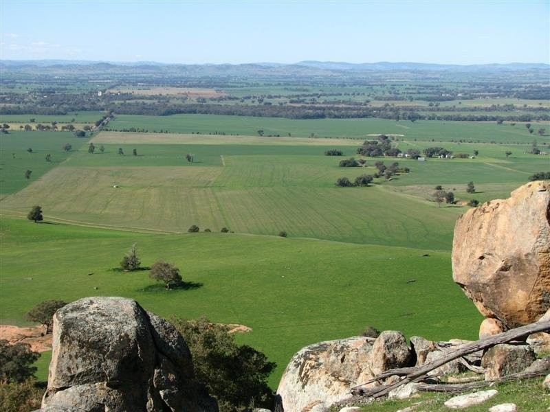 5111 Olympic Highway, Wattamondara NSW 2794