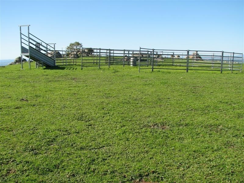 5111 Olympic Highway, Wattamondara NSW 2794