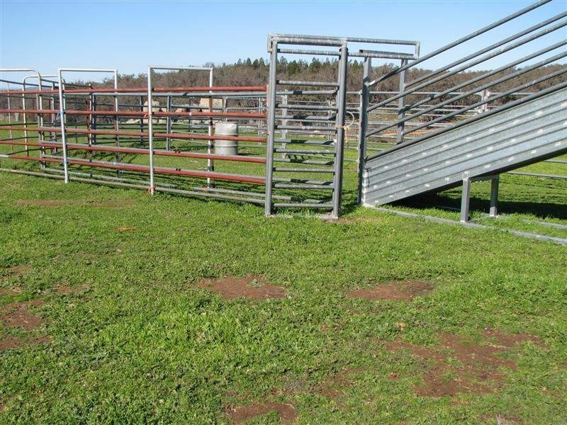 5111 Olympic Highway, Wattamondara NSW 2794