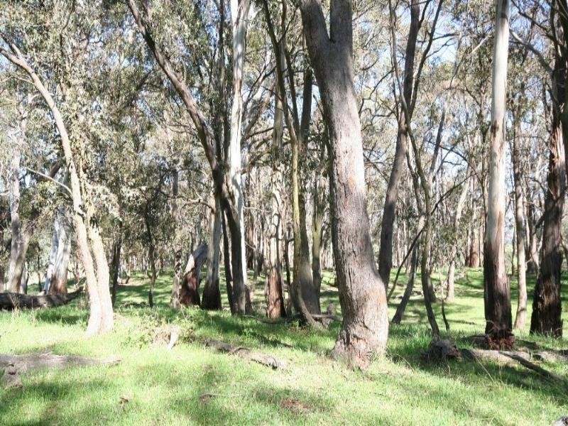 Oberon NSW 2787