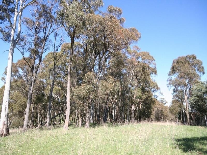 Oberon NSW 2787