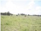 Oberon NSW 2787