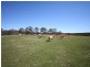 Oberon NSW 2787