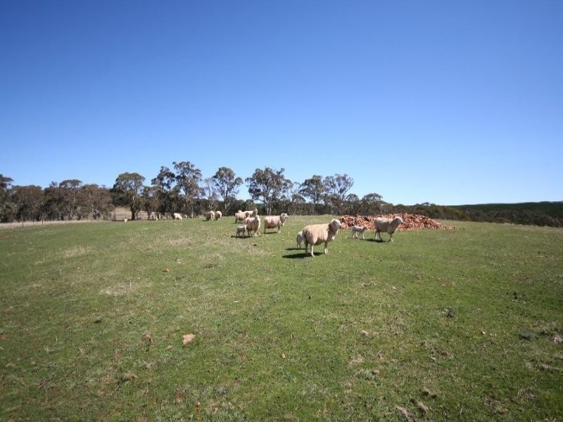 Oberon NSW 2787
