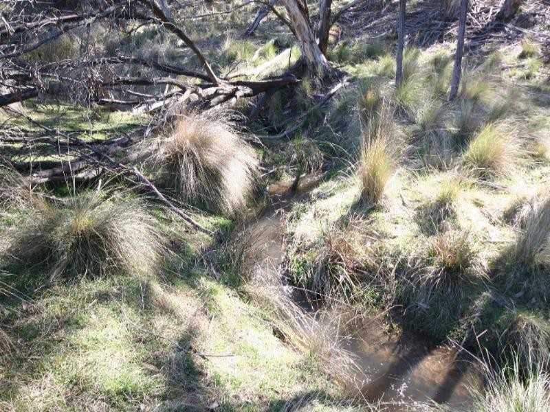 Oberon NSW 2787