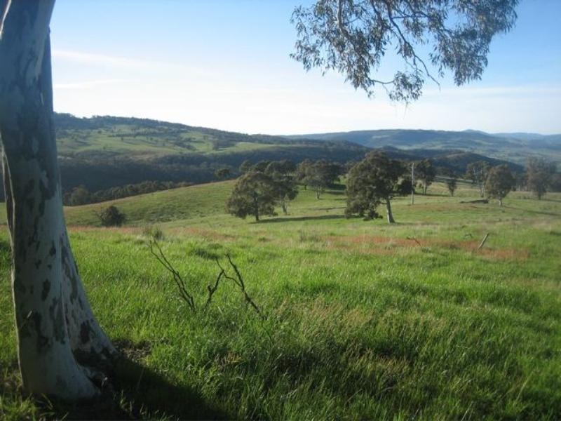 Meadow Flat NSW 2795