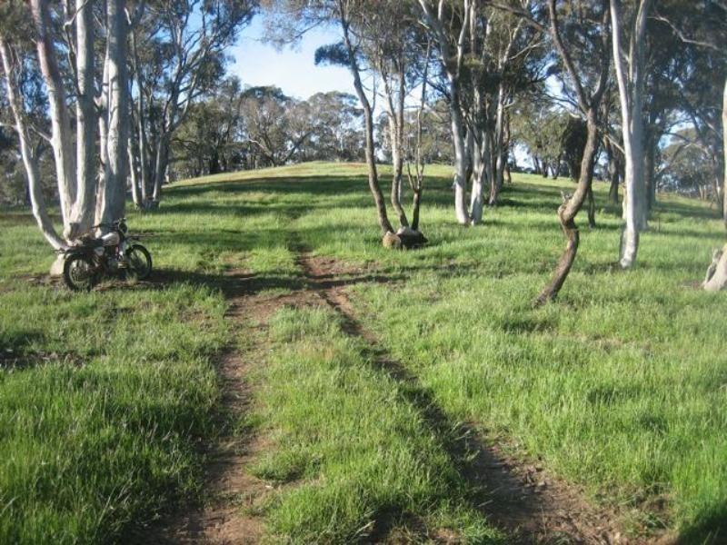 Meadow Flat NSW 2795