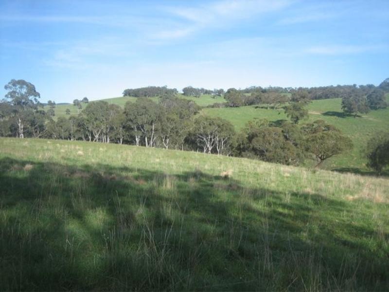 Meadow Flat NSW 2795