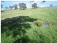 Meadow Flat NSW 2795