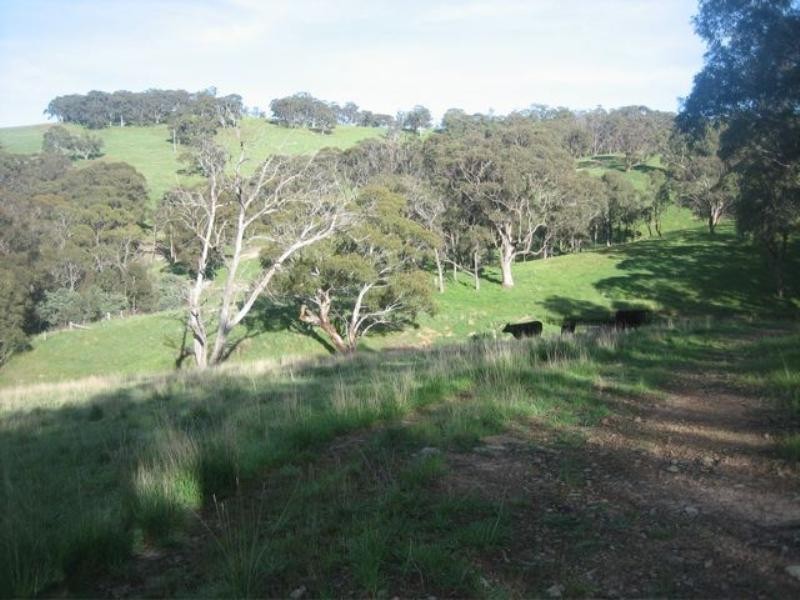 Meadow Flat NSW 2795