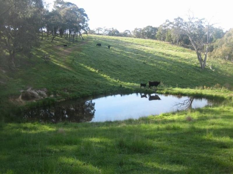 Meadow Flat NSW 2795