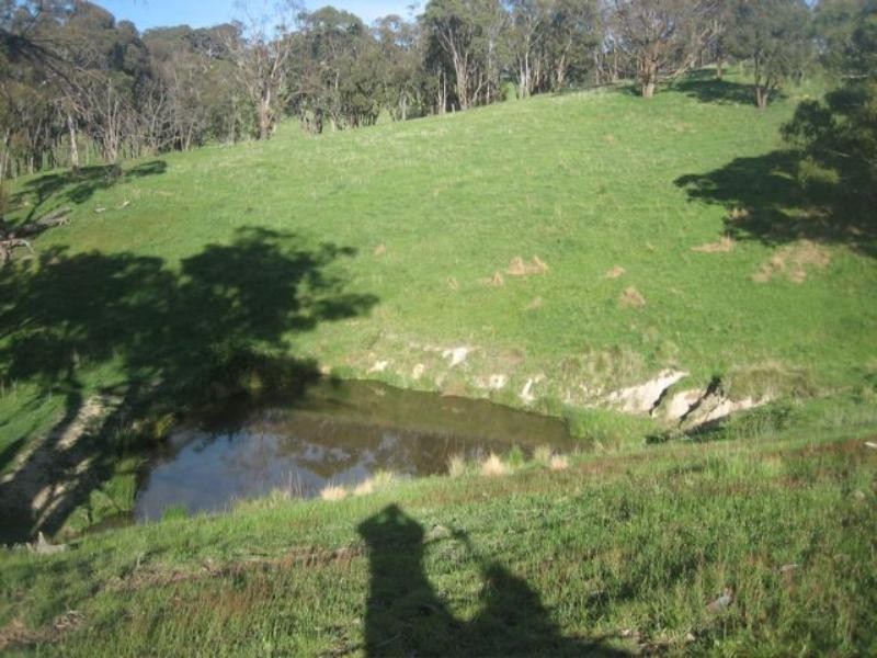 Meadow Flat NSW 2795