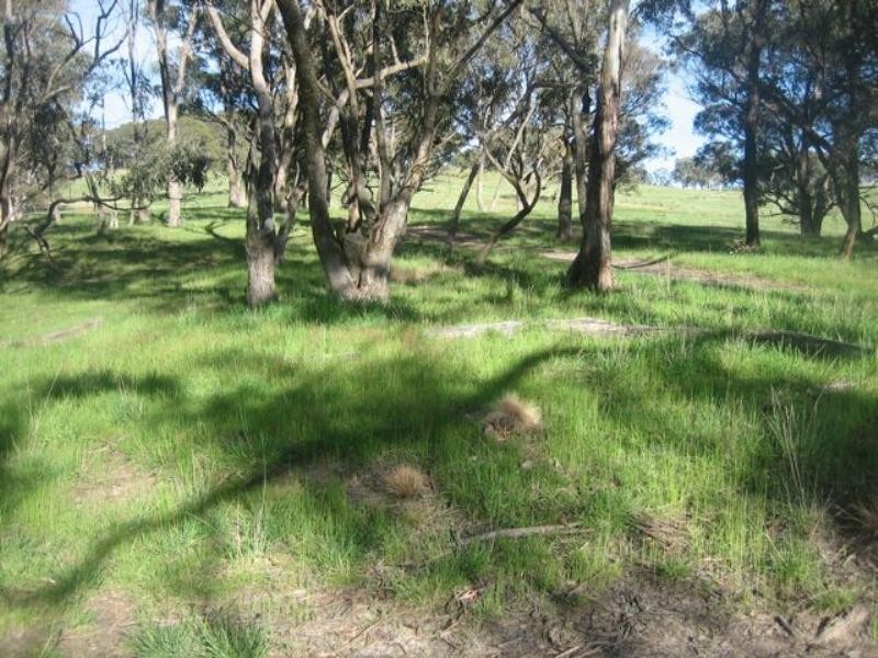 Meadow Flat NSW 2795