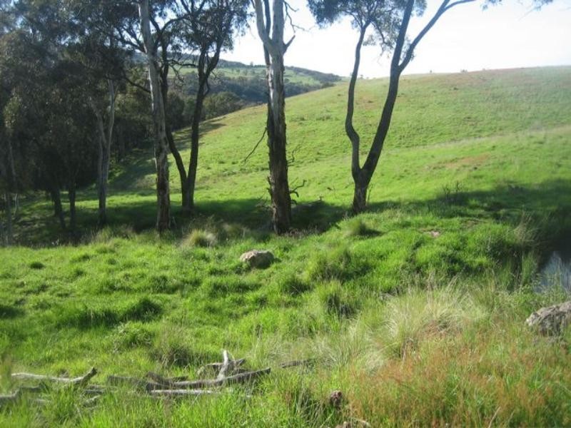 Meadow Flat NSW 2795
