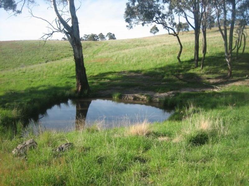 Meadow Flat NSW 2795