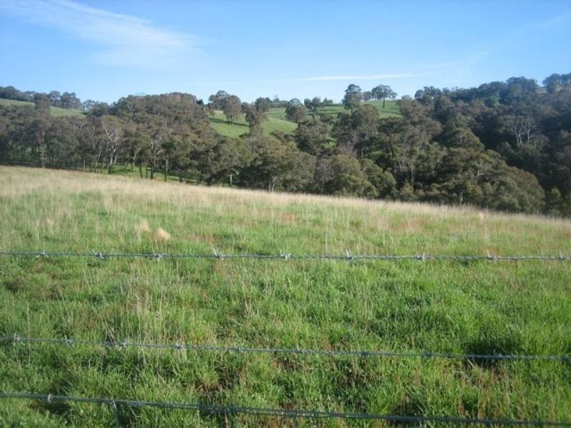 Meadow Flat NSW 2795