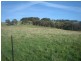 Meadow Flat NSW 2795