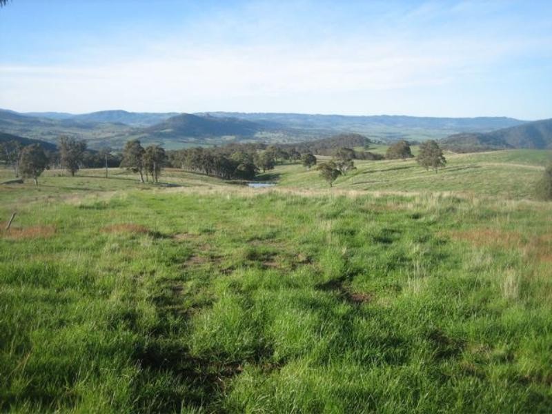 Meadow Flat NSW 2795